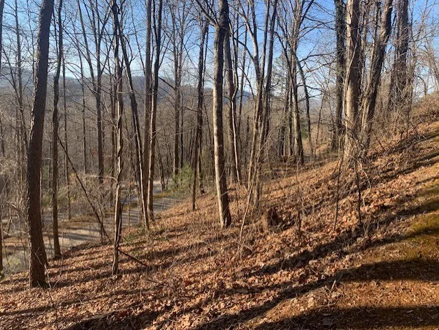 Biltmore Circle Bryson City, NC 28713
