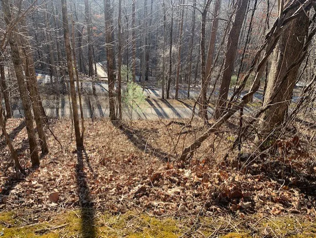 Biltmore Circle Bryson City, NC 28713