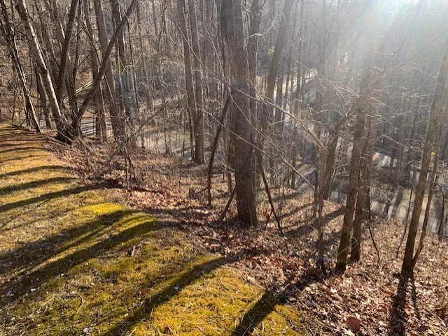 Biltmore Circle Bryson City, NC 28713