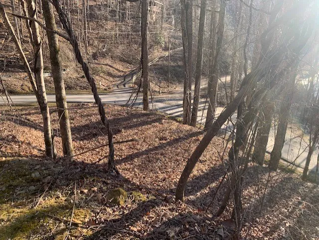Biltmore Circle Bryson City, NC 28713