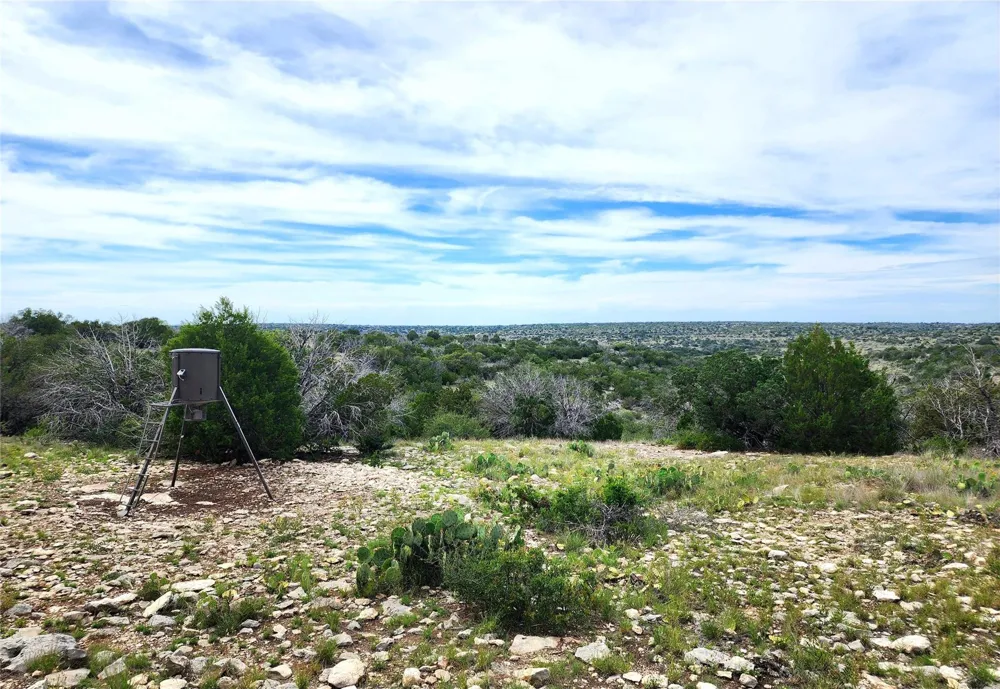 Peck Road Comstock, TX 78837