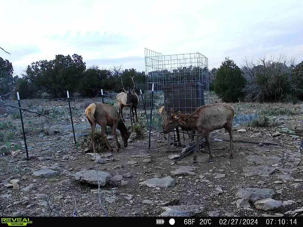 Peck Road Comstock, TX 78837