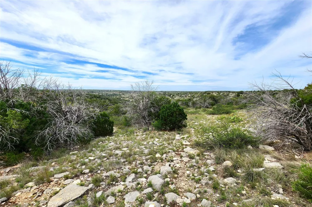 Peck Road Comstock, TX 78837