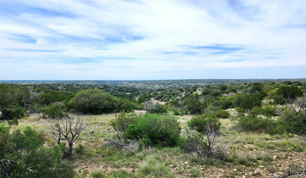 Peck Road Comstock, TX 78837
