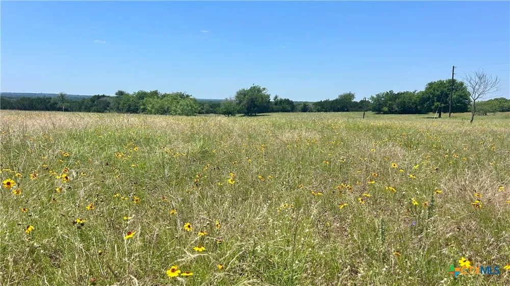 300 County Road 340 McGregor, TX 76657