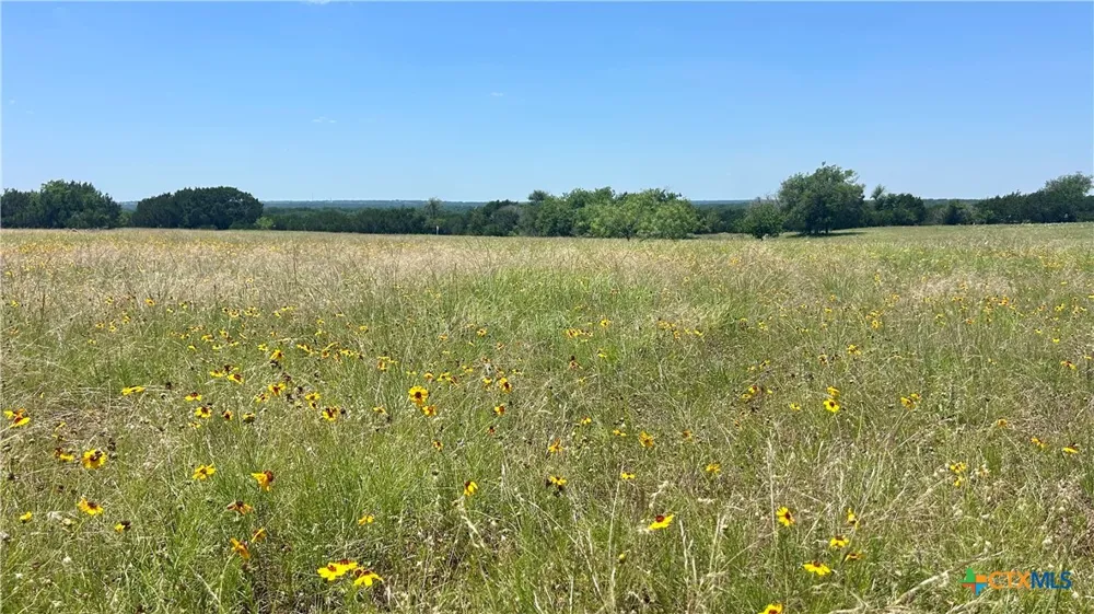 300 County Road 340 McGregor, TX 76657
