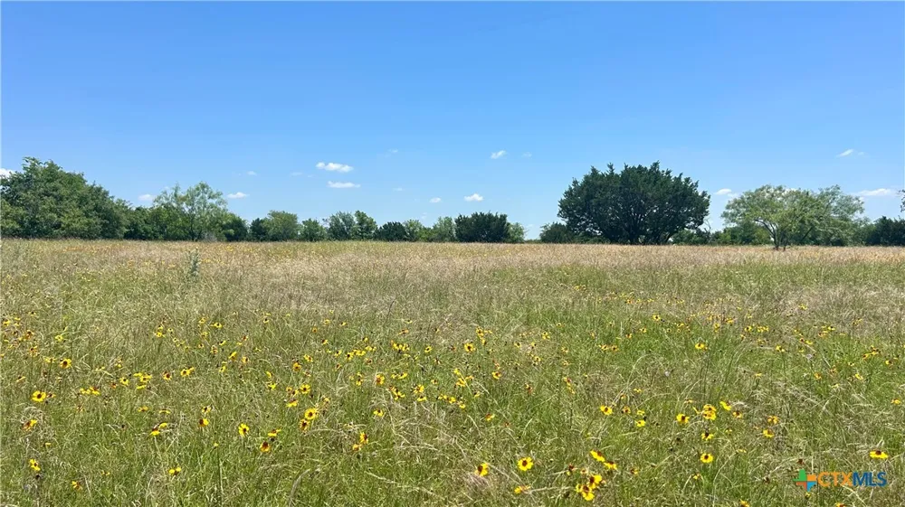 300 County Road 340 McGregor, TX 76657