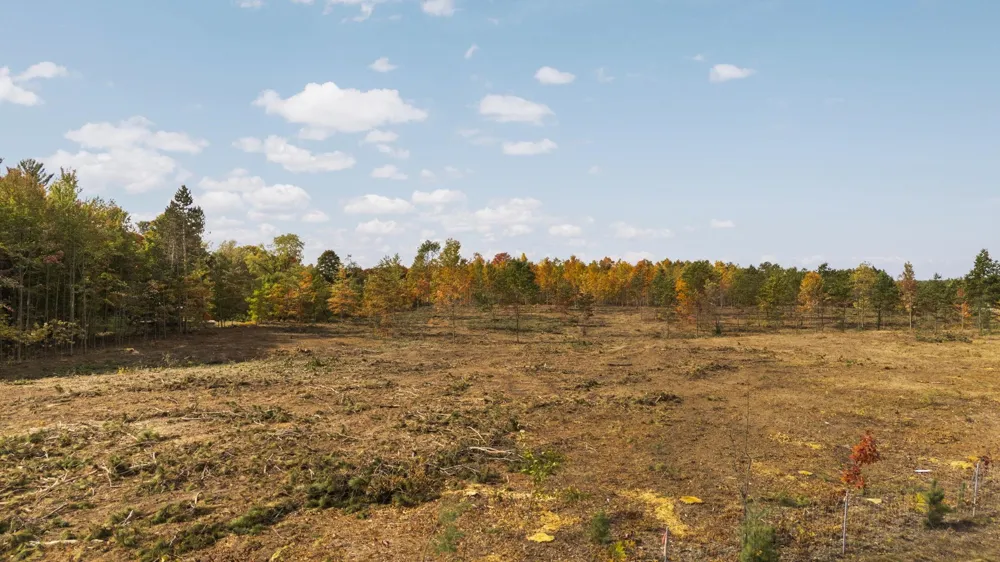 W M-115 Springville Township, MI 49668