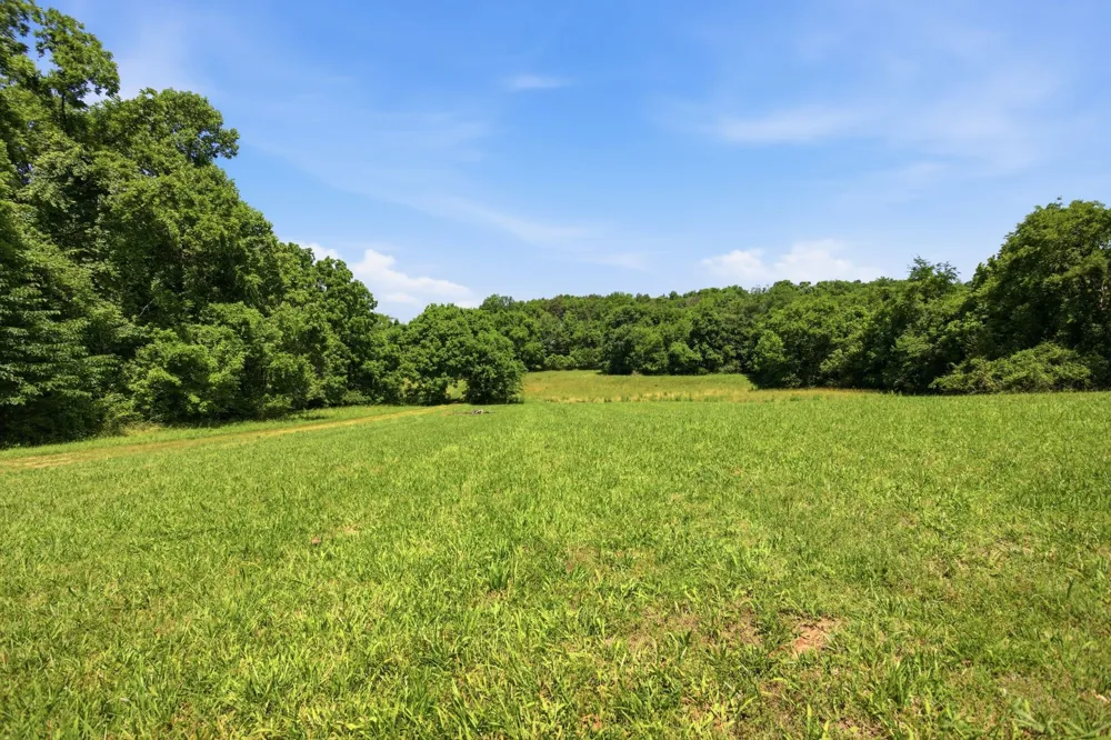 2127 Highway 166 Mount Pleasant, TN 38474
