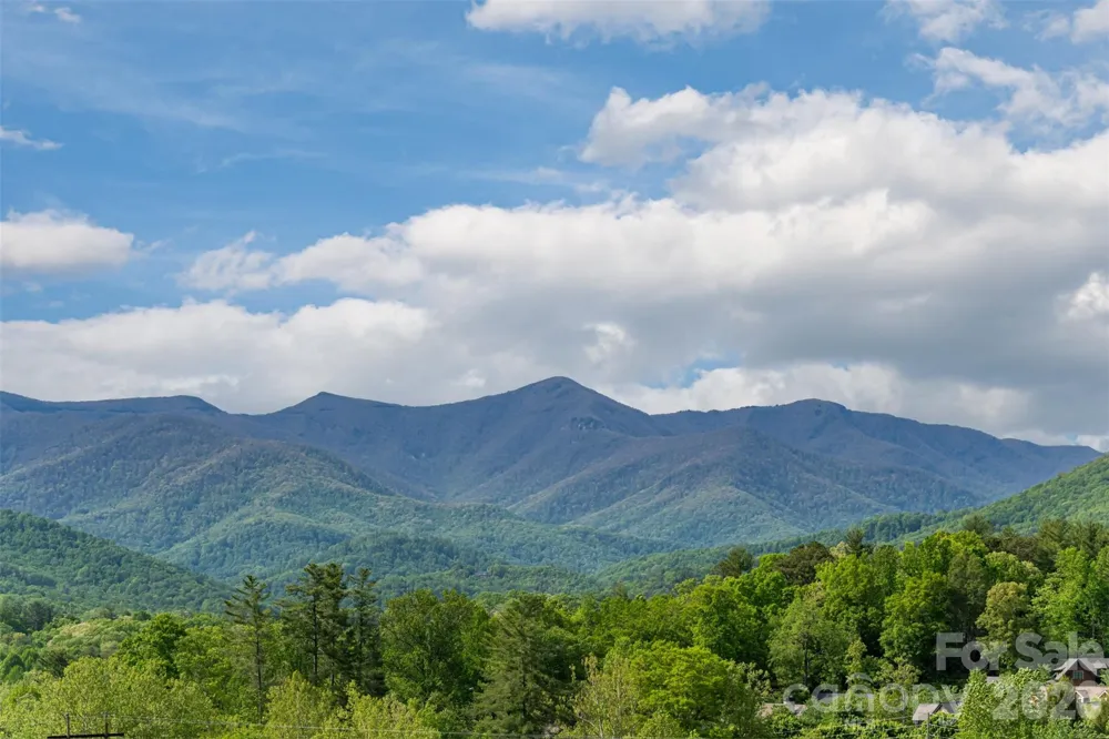 25 Rantis Lane Black Mountain, NC 28711