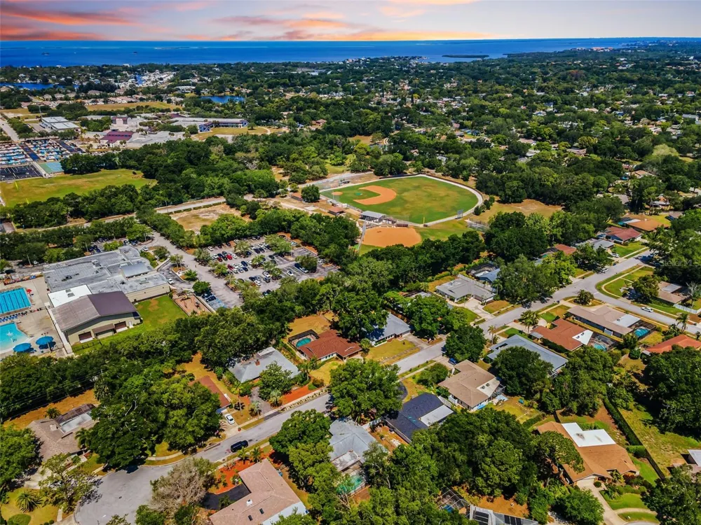520 SANDY HOOK ROAD Palm Harbor, FL 34683