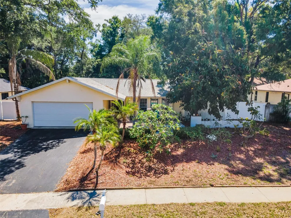 520 SANDY HOOK ROAD Palm Harbor, FL 34683