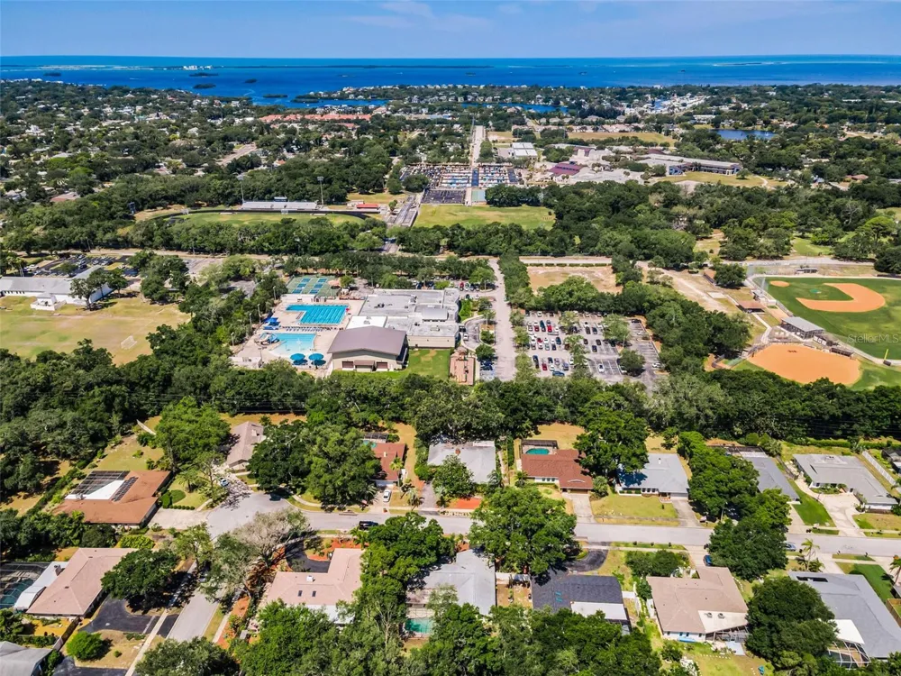 520 SANDY HOOK ROAD Palm Harbor, FL 34683