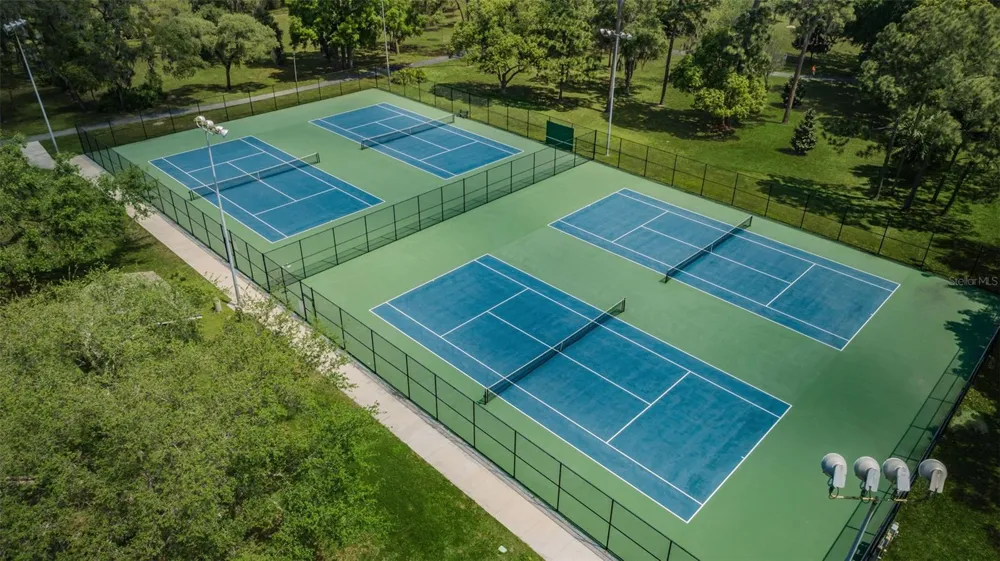 520 SANDY HOOK ROAD Palm Harbor, FL 34683