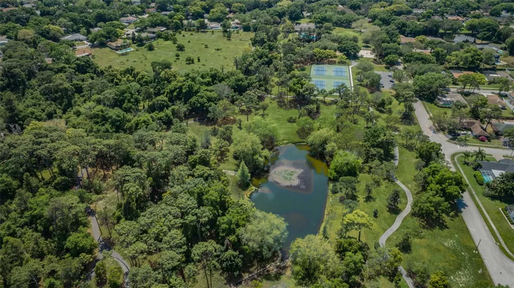 520 SANDY HOOK ROAD Palm Harbor, FL 34683