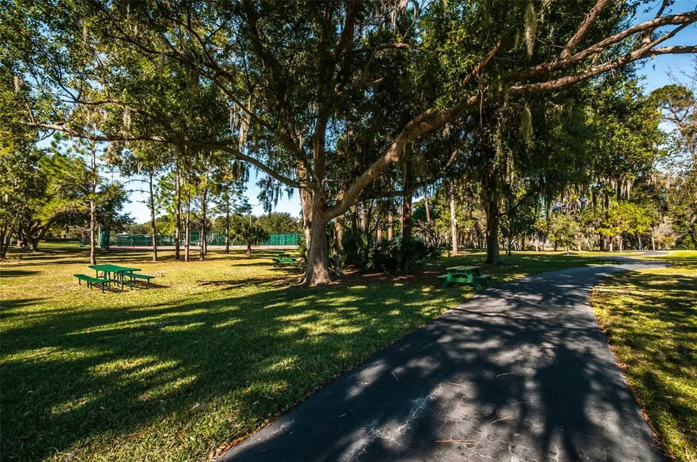 520 SANDY HOOK ROAD Palm Harbor, FL 34683