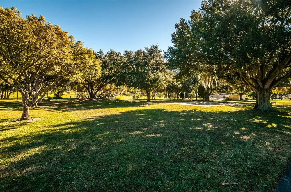 520 SANDY HOOK ROAD Palm Harbor, FL 34683