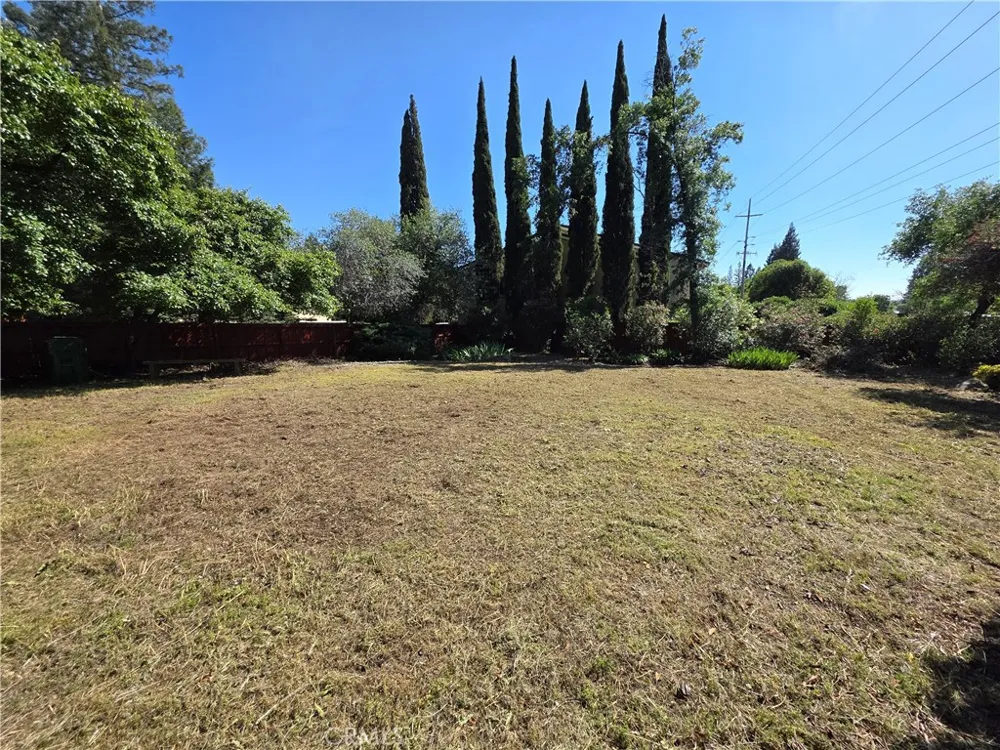 11 Alameda Park Chico, CA 95928