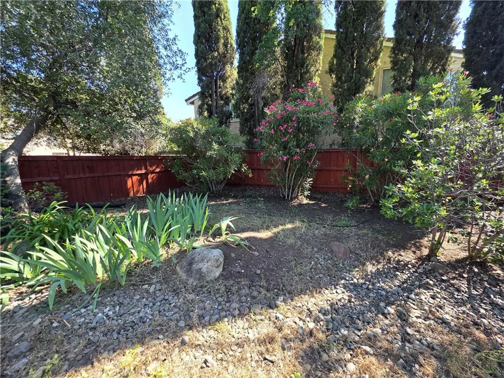 11 Alameda Park Chico, CA 95928