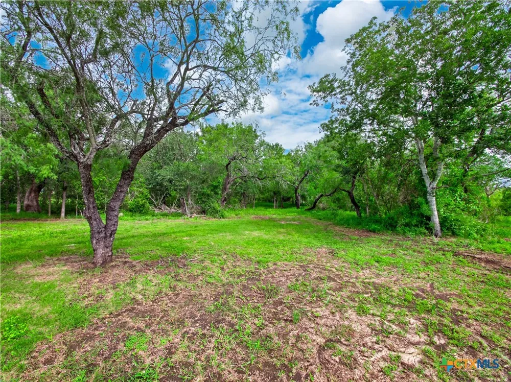 149 High Ridge Meadows Drive Gonzales, TX 78629