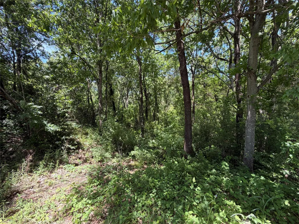 1341 Waikiki Trail Kemp, TX 75143