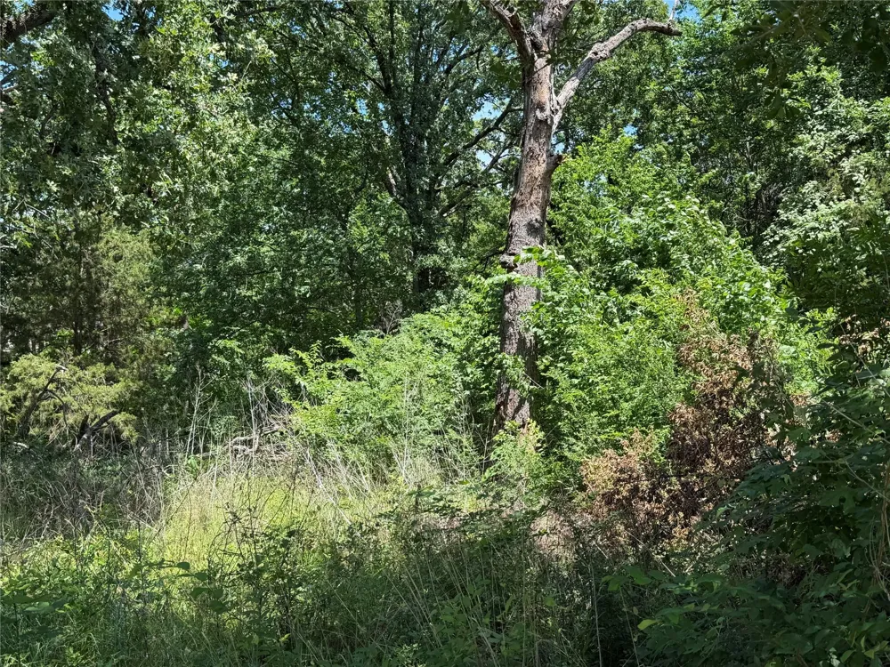 1341 Waikiki Trail Kemp, TX 75143