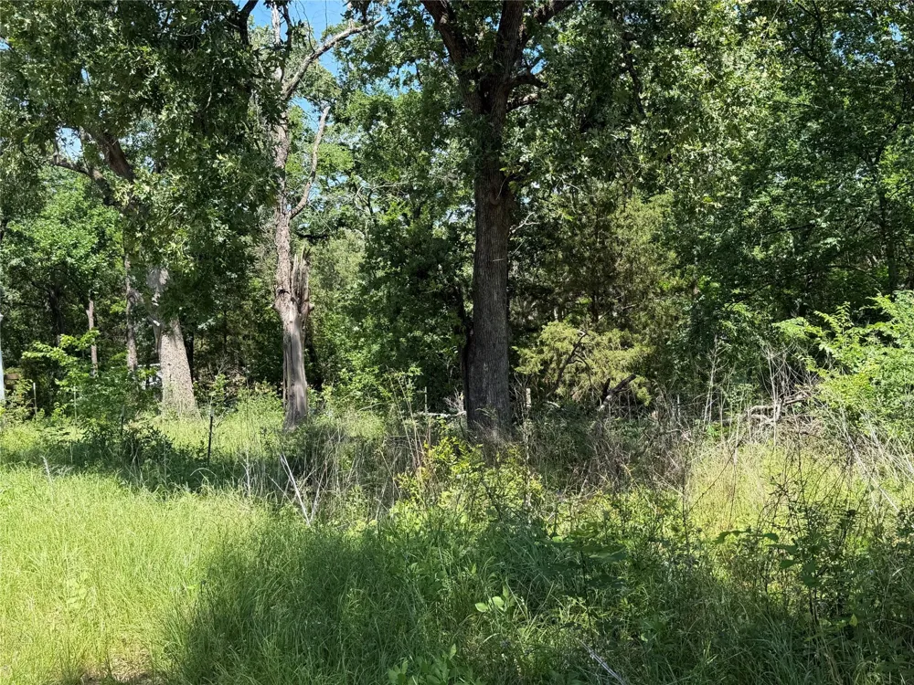 1341 Waikiki Trail Kemp, TX 75143