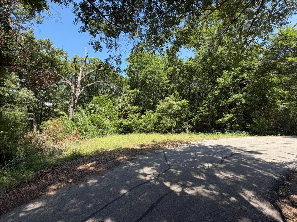 1341 Waikiki Trail Kemp, TX 75143
