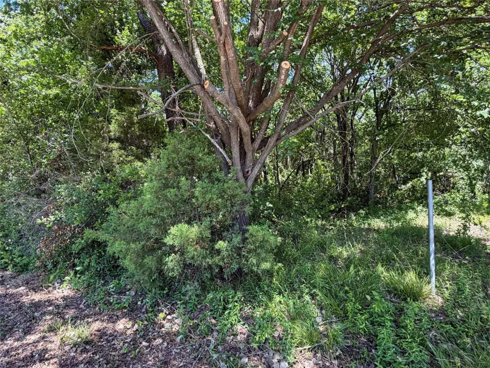 1341 Waikiki Trail Kemp, TX 75143
