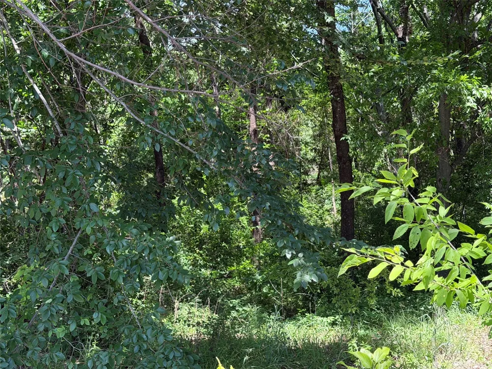1341 Waikiki Trail Kemp, TX 75143
