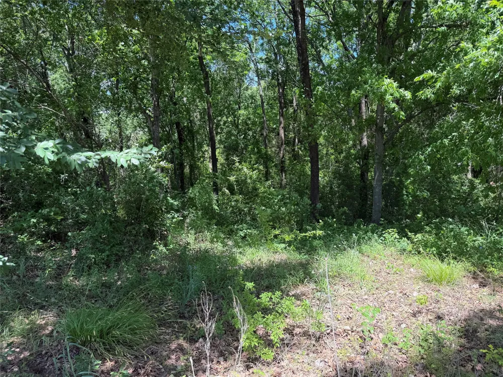 1341 Waikiki Trail Kemp, TX 75143