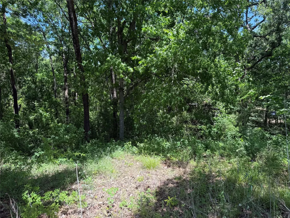 1341 Waikiki Trail Kemp, TX 75143