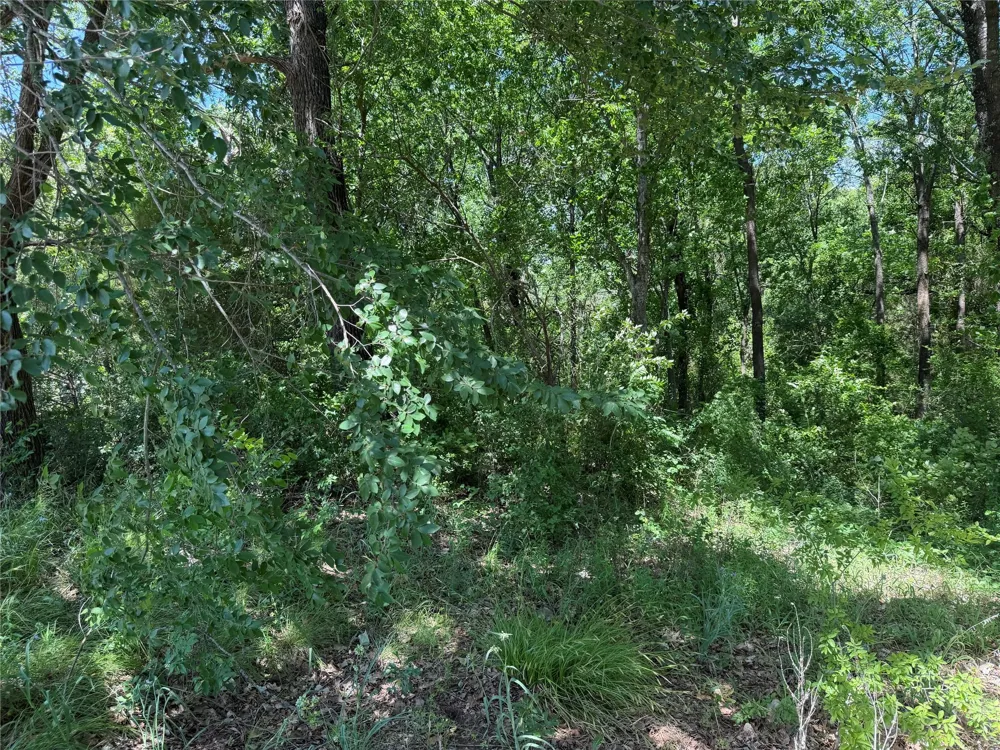 1341 Waikiki Trail Kemp, TX 75143