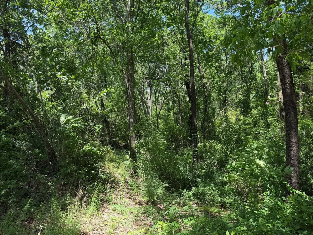 1341 Waikiki Trail Kemp, TX 75143