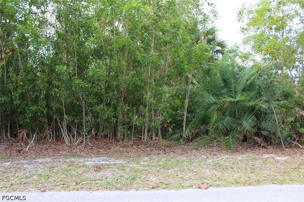 Lake Heather Circle St James City, FL 33956