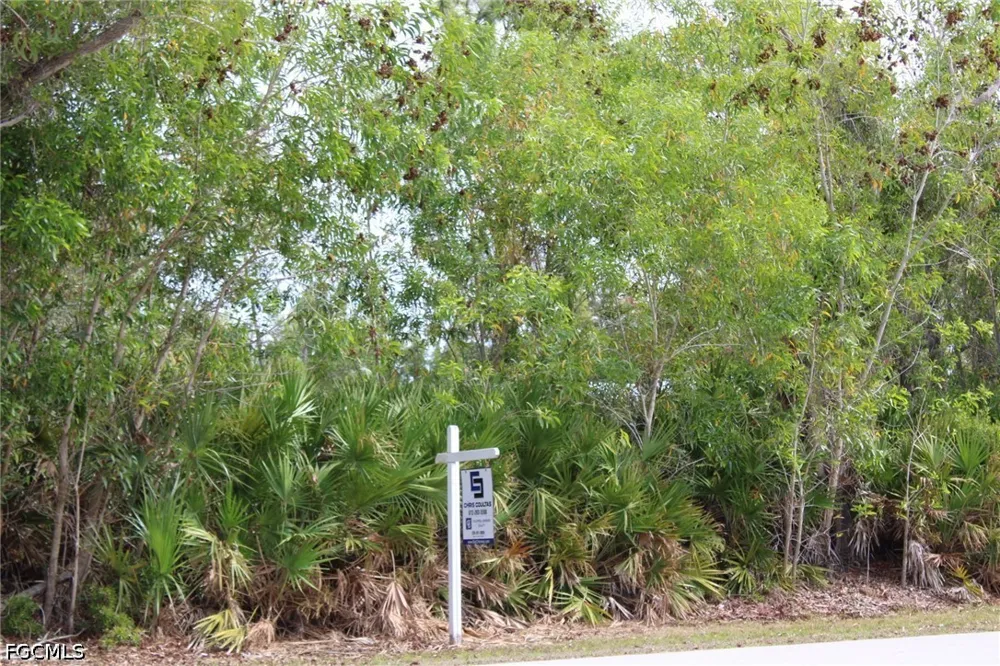 Lake Heather Circle St James City, FL 33956