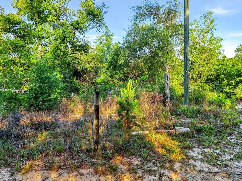 JEWELL DRIVE Deland, FL 32720