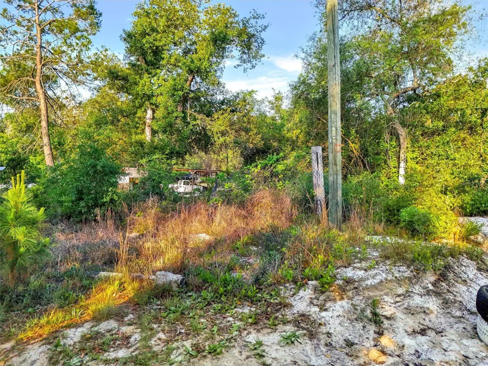 JEWELL DRIVE Deland, FL 32720