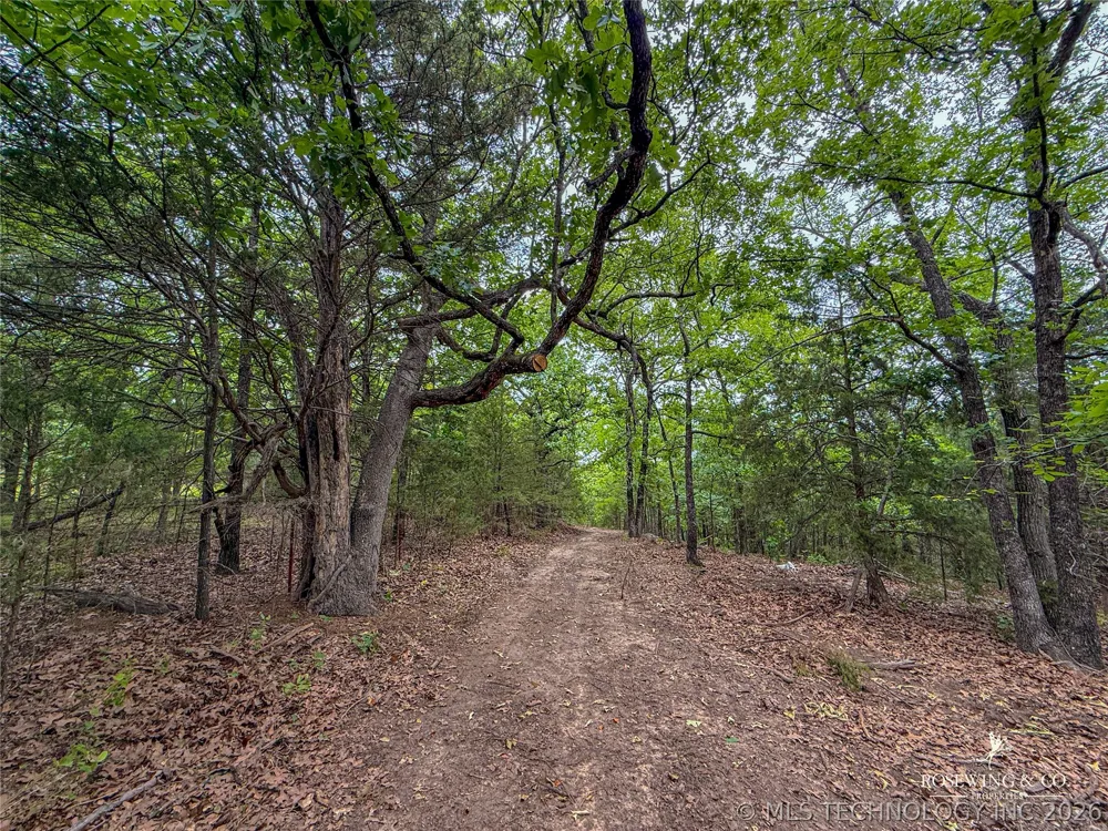 Pine Tree Road McAlester, OK 74501