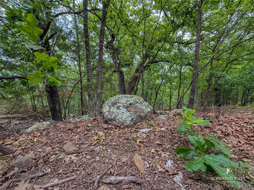 Pine Tree Road McAlester, OK 74501