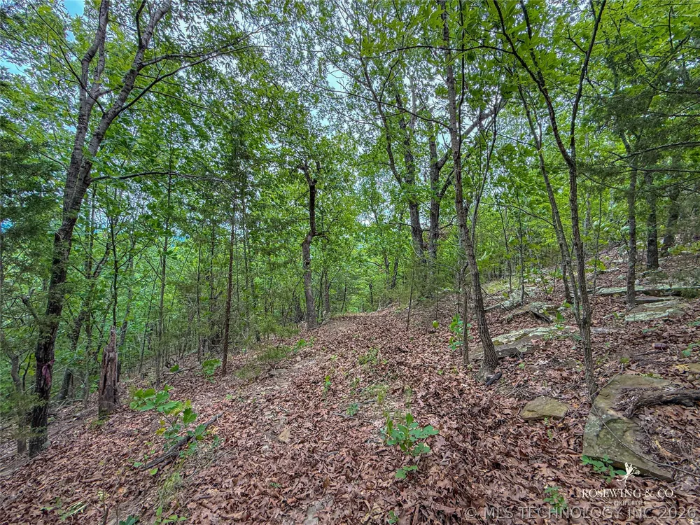 Pine Tree Road McAlester, OK 74501
