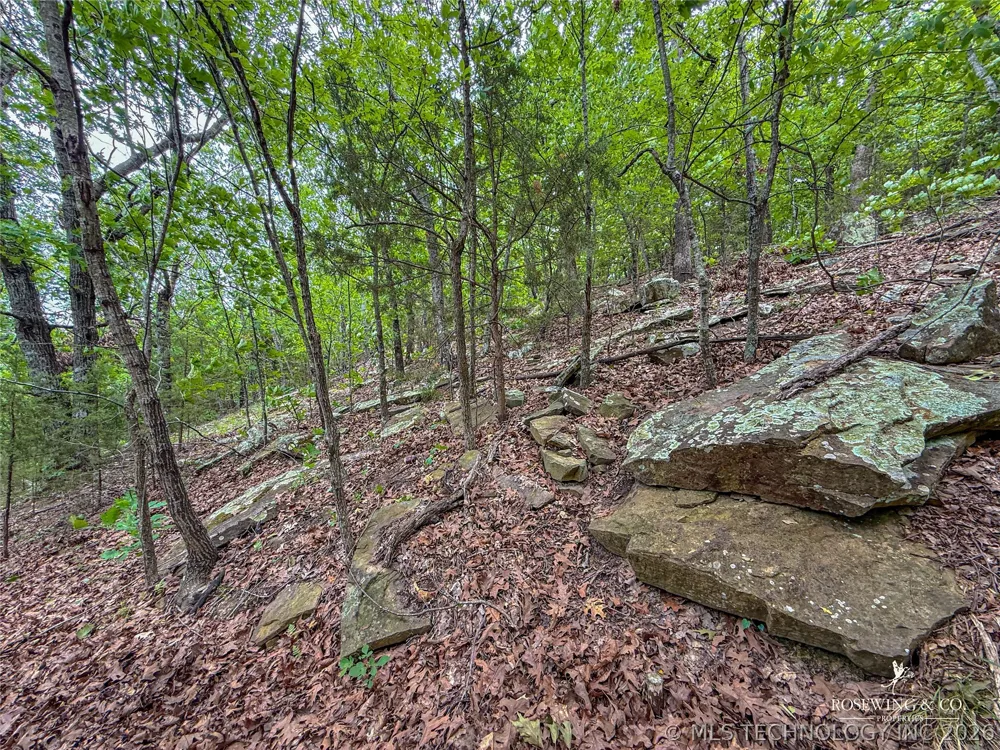 Pine Tree Road McAlester, OK 74501