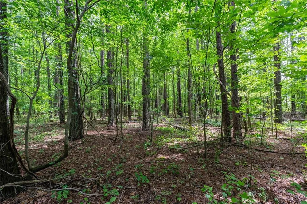 0 Macland Road Dallas, GA 30157