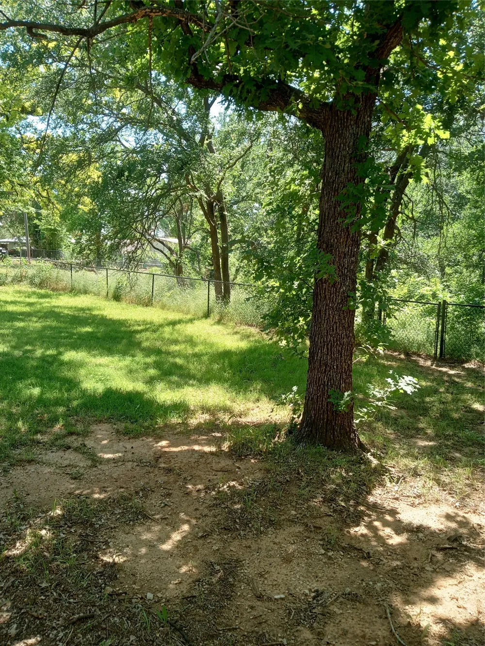 1005 Gary Street Bridgeport, TX 76426