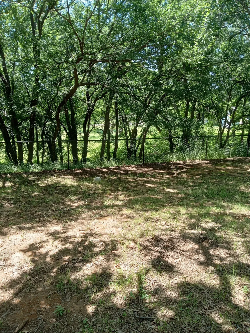 1005 Gary Street Bridgeport, TX 76426