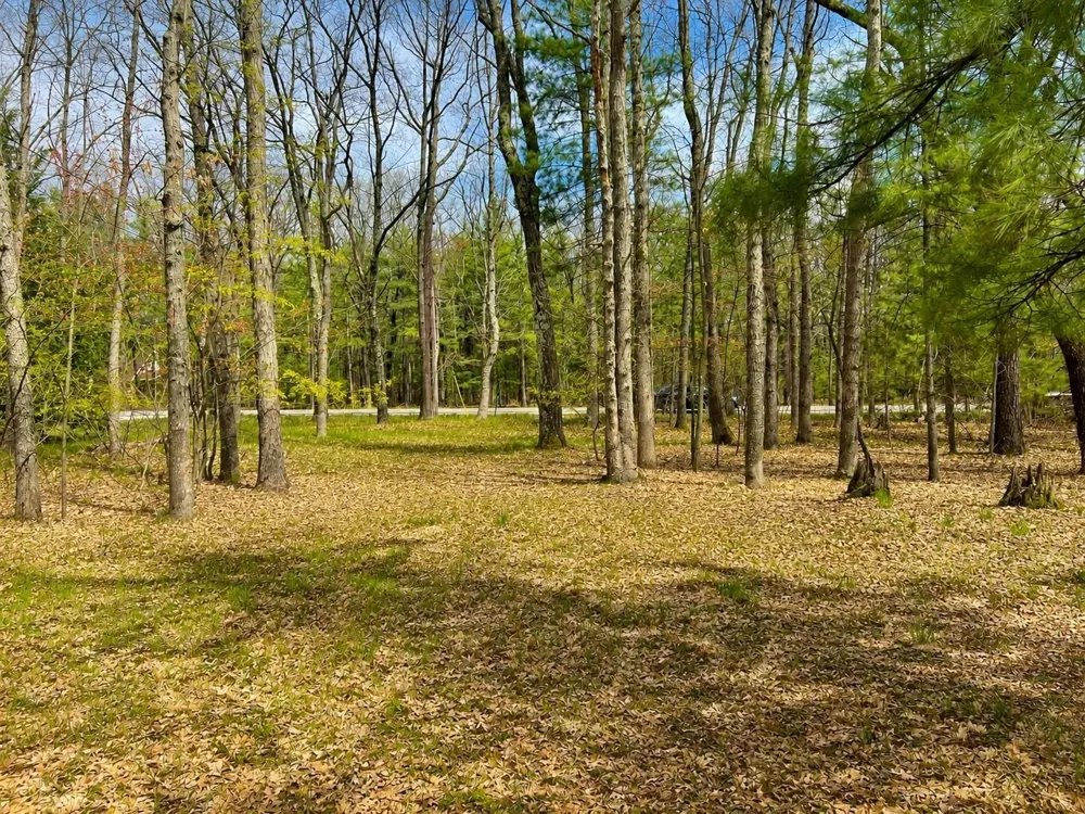 5302 Karlin Road Green Lake Township, MI 49643