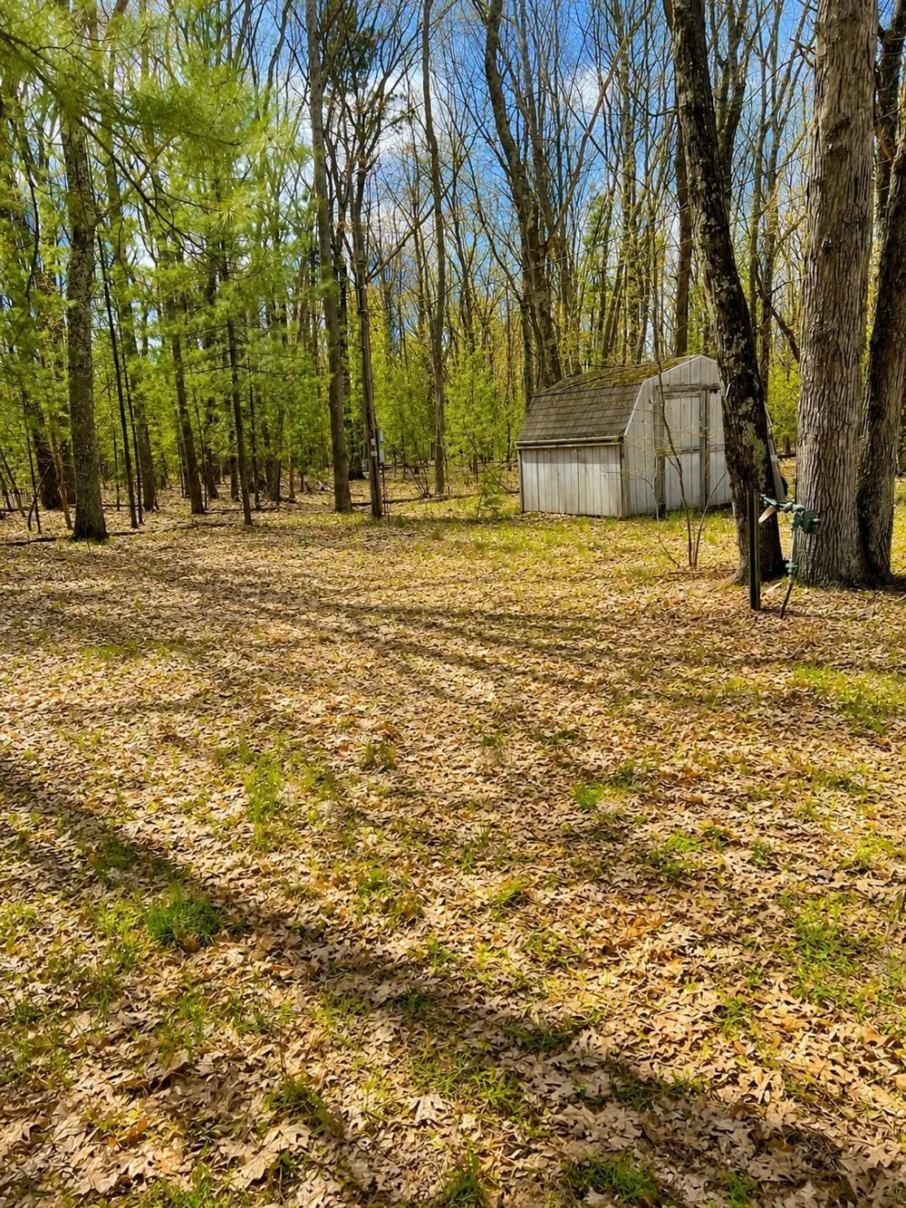 5302 Karlin Road Green Lake Township, MI 49643
