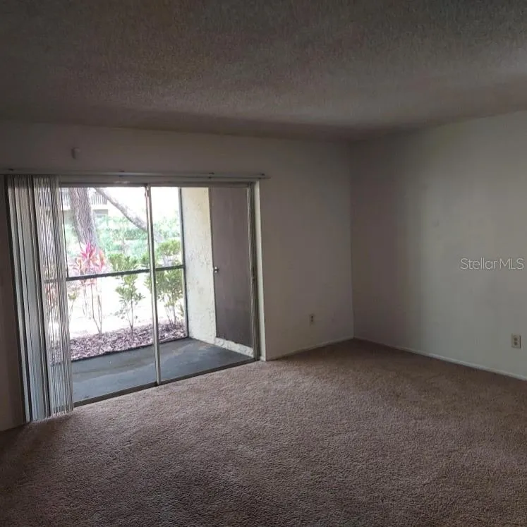 14111 MOSSY GLEN LANE #101C Tampa, FL 33613