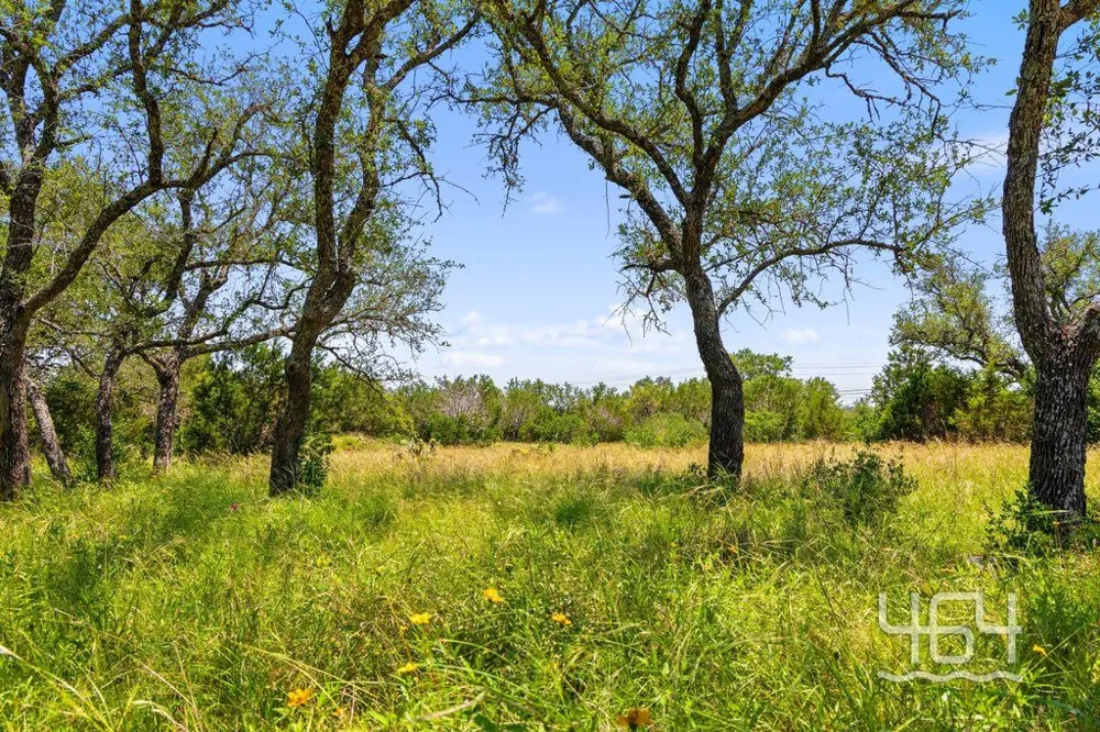 Balcones Drive Johnson City, TX 78636
