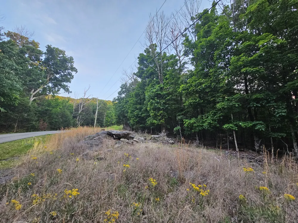 3 Sewanee Summit Road Decherd, TN 37324